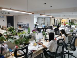 一楼技术部办公区